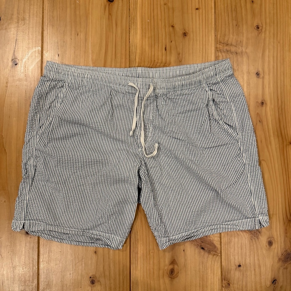 GAP Navy and White Striped Shorts